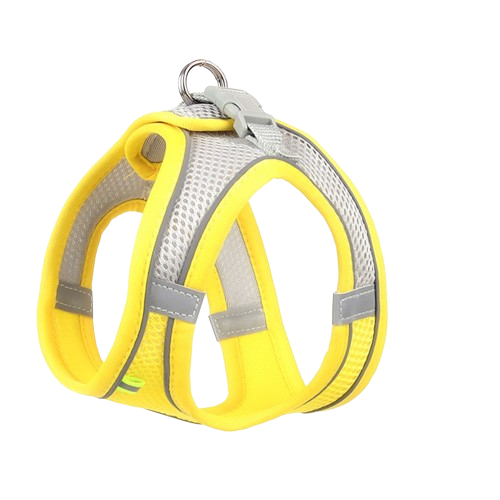 Reflective Harness