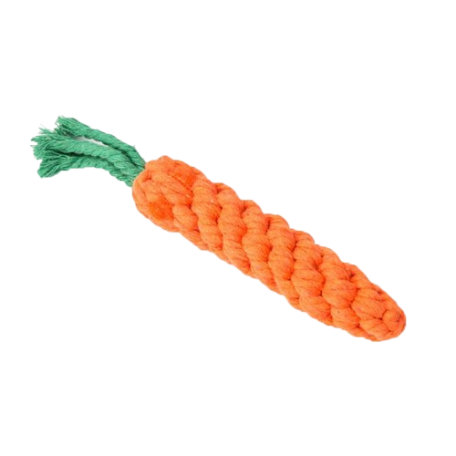 Carrot Chew Toy