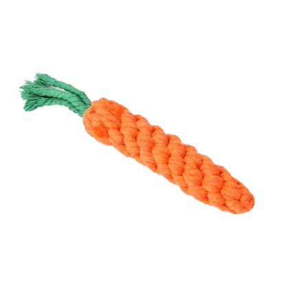 Carrot Chew Toy