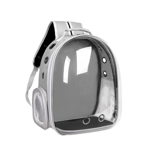 Transparent Carrying Backpack