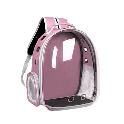 Transparent Carrying Backpack