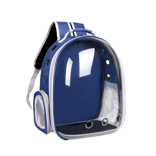 Transparent Carrying Backpack