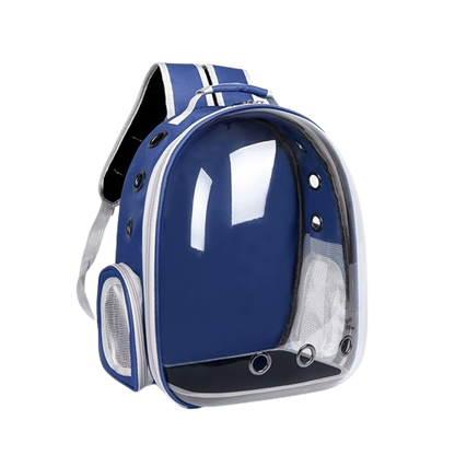 Transparent Carrying Backpack