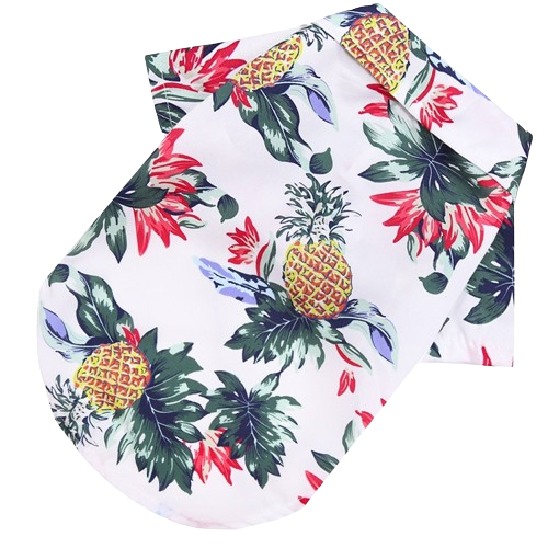 Hawaiian Beach Shirt