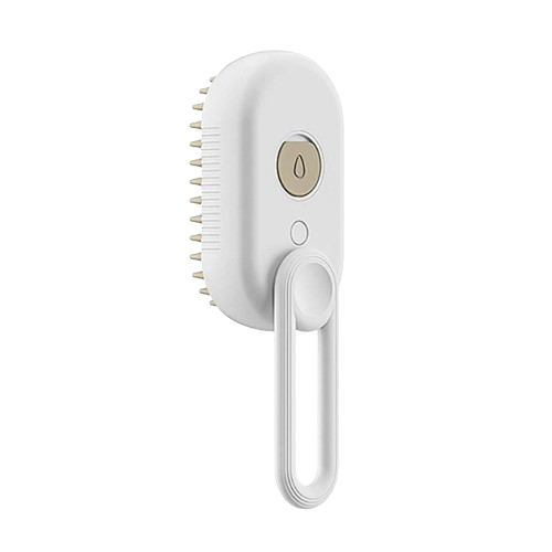 Steam Brush